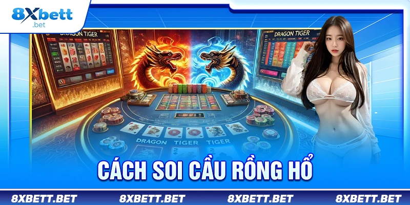 Cách Soi Cầu Rồng Hổ Chuẩn Từ Người Chơi Lâu Năm 1 cách soi cầu rồng hổ