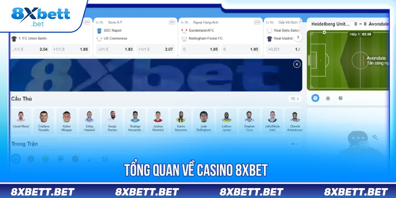 Tổng quan về Casino 8XBET