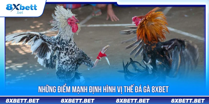 Những điểm mạnh định hình vị thế đá gà 8XBET