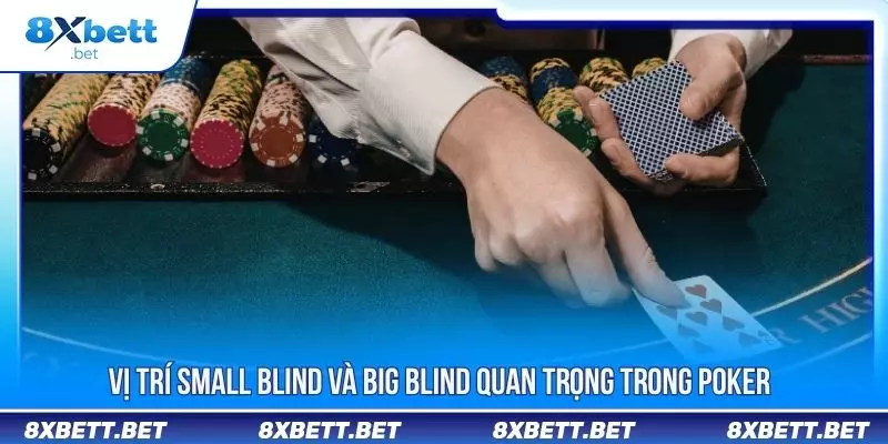 Vị trí small Blind và Big Blind quan trọng trong poker